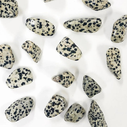 Dalmatian Jasper (Tumbled)