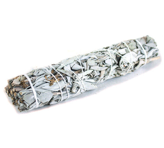 White Sage (Medium)